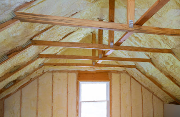 Trusted Port Isabel, TX Insulation Contractor Experts