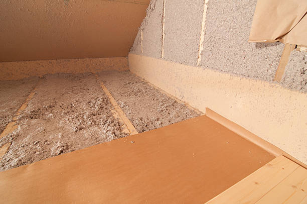 Best Residential Insulation in Port Isabel, TX