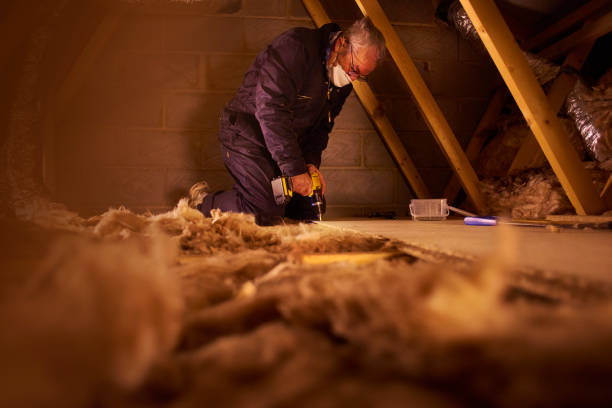 Types of Insulation We Offer in Port Isabel, TX